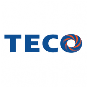 14 logo teco